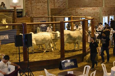 Una de las actividades del congreso tiene que ver con una feria de reproductores de élite, que será acompañada por la banca para adquisición de genética de punta.