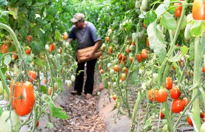 /pf/resources/images/abc-placeholder.png?d=2399