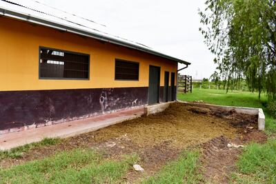 El matadero no cuenta con licencia ambiental, tampoco con verificación del INTN y la habilitación del INAN.  Familias que viven en los alrededores se quejan del hedor que genera.