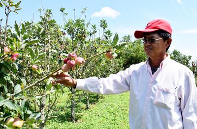 /pf/resources/images/abc-placeholder.png?d=2394