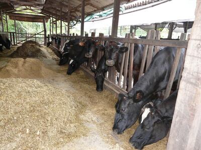 /pf/resources/images/abc-placeholder.png?d=2424