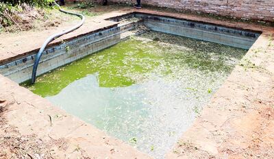 Deplorable estado de la pileta de esta casa del barrio San Isidro de Lambaré, allanada ayer por las autoridades por tercera vez.