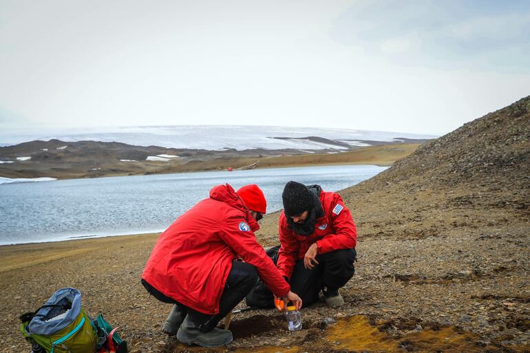 Los biólogos uruguayos Damian Hagopián (d) y Martín Santana (i) colocan trampas, en el marco de su investigación sobre mosquitos europeos invasores en el continente helado, en la Isla Rey Jorge (Antártida).