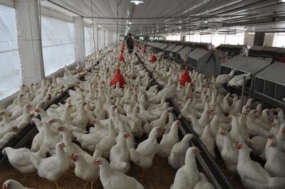 /pf/resources/images/abc-placeholder.png?d=2421