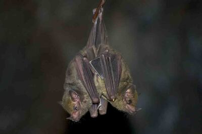 /pf/resources/images/abc-placeholder.png?d=2443