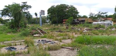 En la zona también pululan los baldíos y potenciales criaderos de mosquitos.