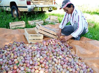 /pf/resources/images/abc-placeholder.png?d=2420