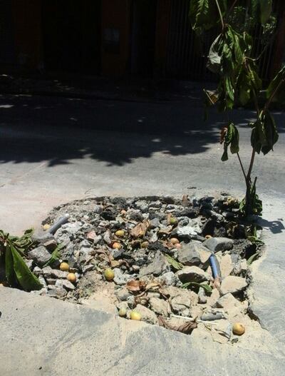 Imagen sin descripción