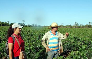 el-productor-de-mandioca-recibe-asistencia-de-tecnicos-del-mag-aqui-con-la-ingeniera-agronoma-liza-rodriguez--205254000000-1520964.jpg