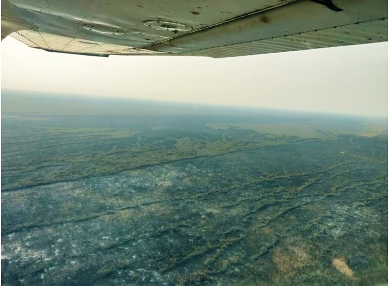 La principal característica de los incendios del Chaco es que los  focos son pequeños y están dispersos por numerosos puntos.