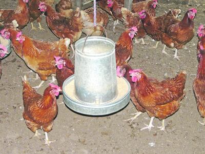 Imagen sin descripción