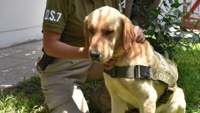 /pf/resources/images/abc-placeholder.png?d=2443