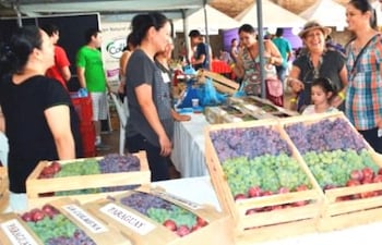 la-7-expo-frutas-la-colmena-112535000000-1661855.jpg