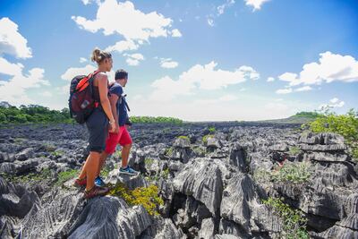 Profundos desfiladeros y rocas afiladas: las formaciones de piedra caliza del Parque Nacional de Ankarana invitan al senderismo.