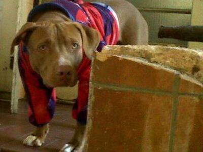 Imagen sin descripción