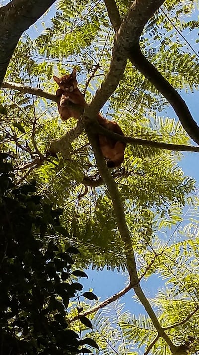 /pf/resources/images/abc-placeholder.png?d=2395