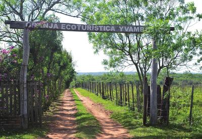 /pf/resources/images/abc-placeholder.png?d=2425