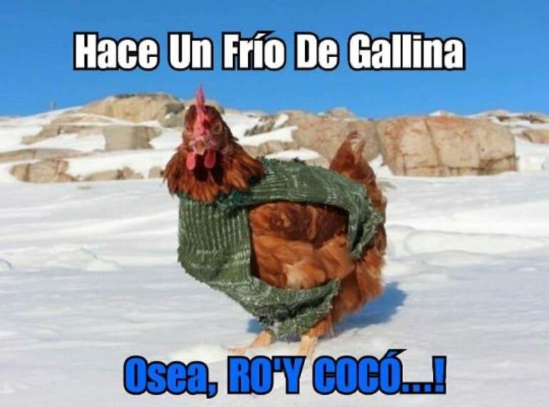 /pf/resources/images/abc-placeholder.png?d=2420