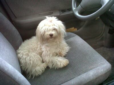 /pf/resources/images/abc-placeholder.png?d=2421