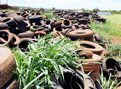 Gran parte de las llamadas que recibe el Sistema  911 es para reportar cubiertas en desuso arrojadas en patios y la vía pública.