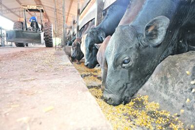 /pf/resources/images/abc-placeholder.png?d=2420