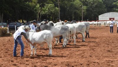 /pf/resources/images/abc-placeholder.png?d=2395