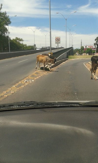Imagen sin descripción
