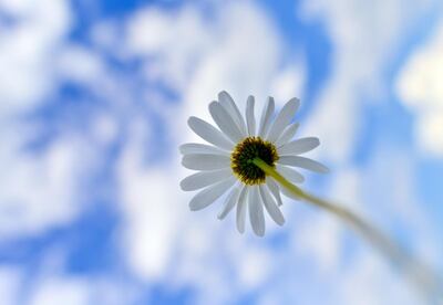 /pf/resources/images/abc-placeholder.png?d=2420