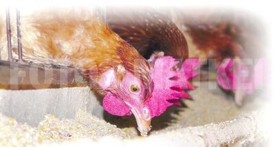 /pf/resources/images/abc-placeholder.png?d=2424