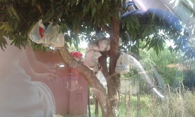 /pf/resources/images/abc-placeholder.png?d=2394