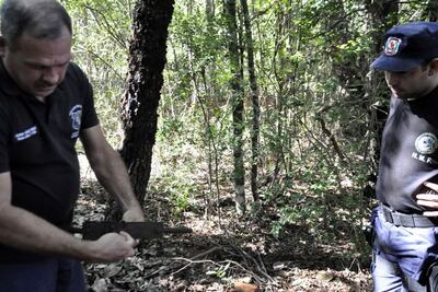 /pf/resources/images/abc-placeholder.png?d=2419