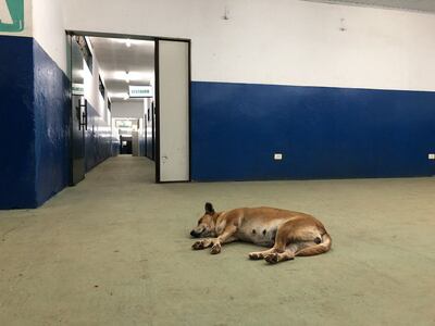 /pf/resources/images/abc-placeholder.png?d=2395