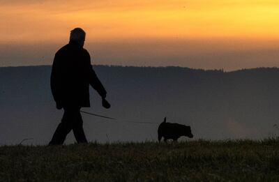 Un hombre se pasea con un perro. Parece haber encontrado una gran compañía.