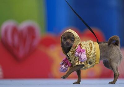 Imagen sin descripción