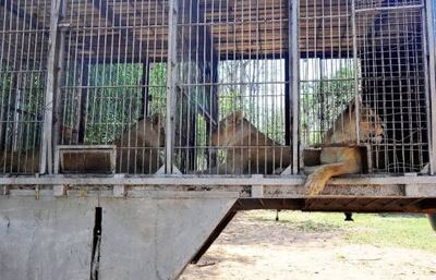 /pf/resources/images/abc-placeholder.png?d=2393