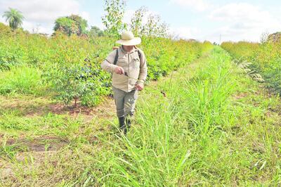 /pf/resources/images/abc-placeholder.png?d=2420