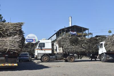 Los cañicultores ayer quedaron aguardando, pues los funcionarios fueron hasta Asunción.