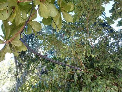 /pf/resources/images/abc-placeholder.png?d=2393