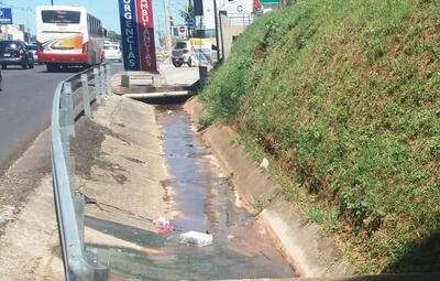 /pf/resources/images/abc-placeholder.png?d=2417