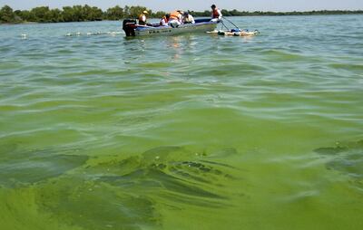 /pf/resources/images/abc-placeholder.png?d=2428