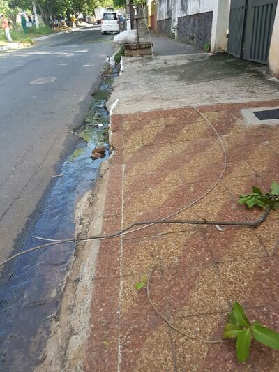 /pf/resources/images/abc-placeholder.png?d=2393