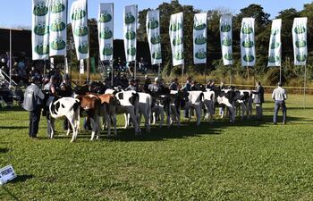 jurado-destaco-calidad-genetica-y-productiva-73620000000-1845983.JPG