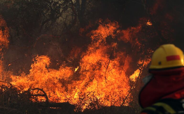 Un bombero trabaja en aplacar un incendio cerca de Robore, Santa Cruz.