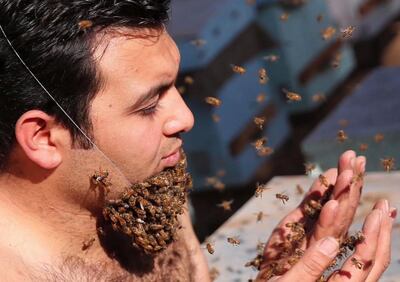 /pf/resources/images/abc-placeholder.png?d=2421