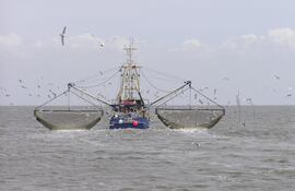 pesquero-taiwanes-fu-fa-12-11029000000-1064847.jpg