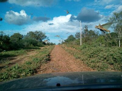 /pf/resources/images/abc-placeholder.png?d=2433