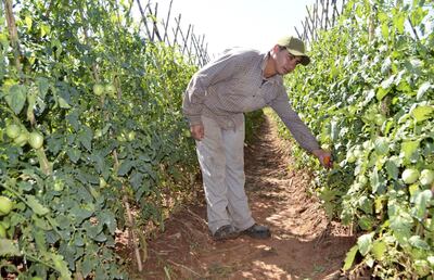 /pf/resources/images/abc-placeholder.png?d=2395