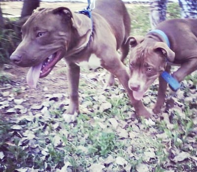 /pf/resources/images/abc-placeholder.png?d=2425