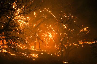 /pf/resources/images/abc-placeholder.png?d=2421