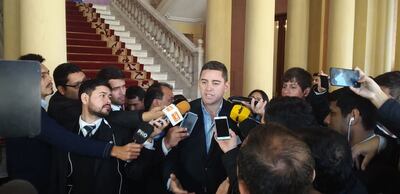 Diputado Pedro Alliana.